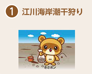 江川海岸潮干狩