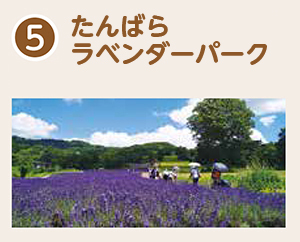 たんばらラベンダーパーク
