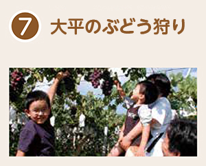 大平のぶどう狩り